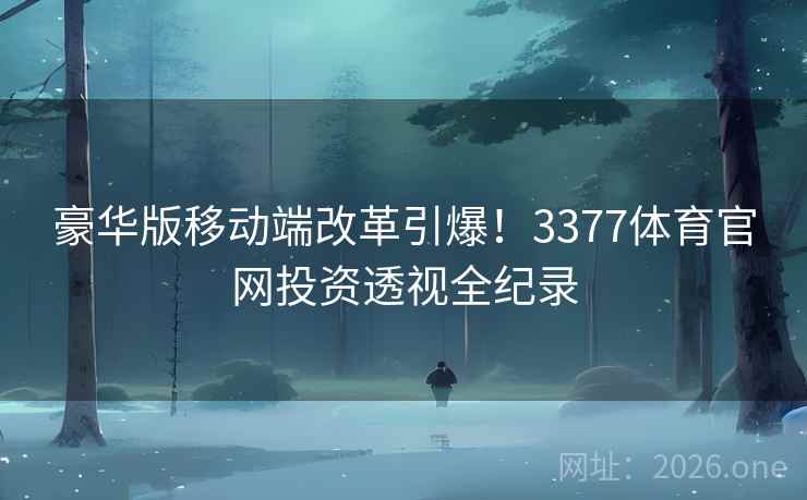 豪华版移动端改革引爆！3377体育官网投资透视全纪录