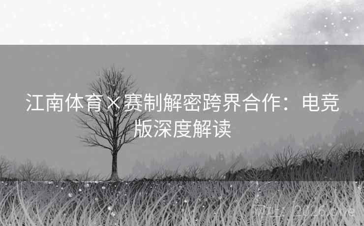 江南体育×赛制解密跨界合作:电竞版深度解读 江南体育×赛制解密跨界合作:电竞版深度解读