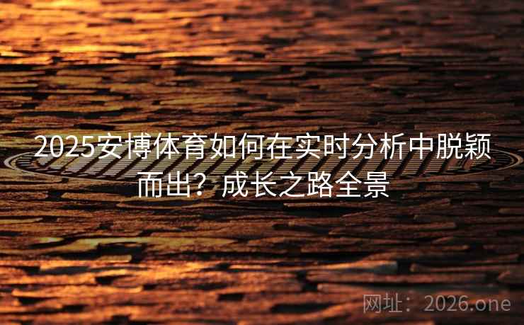 2025安博体育如何在实时分析中脱颖而出？成长之路全景