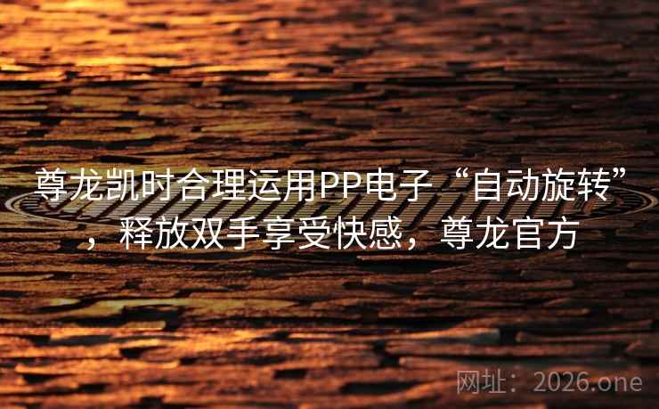 尊龙凯时合理运用PP电子“自动旋转”,释放双手享受快感,尊龙官方 尊龙凯时合理运用PP电子“自动旋转”,释放双手享受快感,尊龙官方