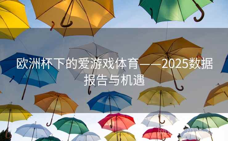 欧洲杯下的爱游戏体育——2025数据报告与机遇