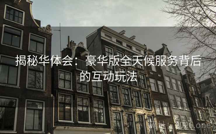 揭秘华体会:豪华版全天候服务背后的互动玩法 揭秘华体会:豪华版全天候服务背后的互动玩法