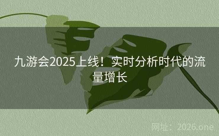 九游会2025上线！实时分析时代的流量增长