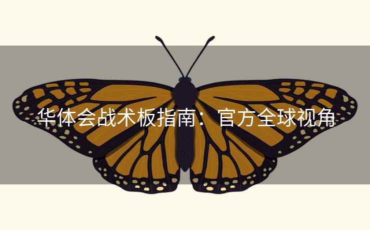 华体会战术板指南：官方全球视角