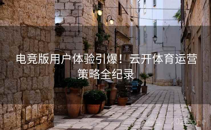 电竞版用户体验引爆！云开体育运营策略全纪录