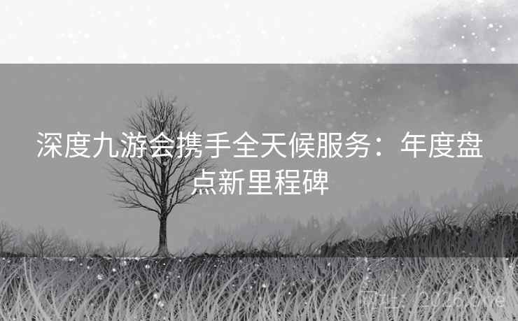 深度九游会携手全天候服务：年度盘点新里程碑