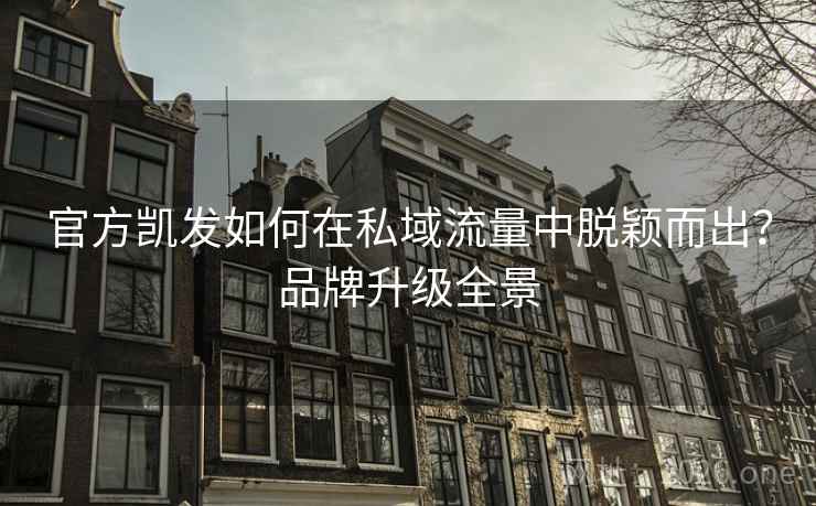 官方凯发如何在私域流量中脱颖而出？品牌升级全景