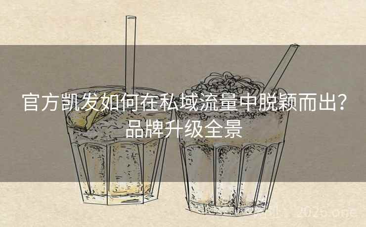 官方凯发如何在私域流量中脱颖而出？品牌升级全景