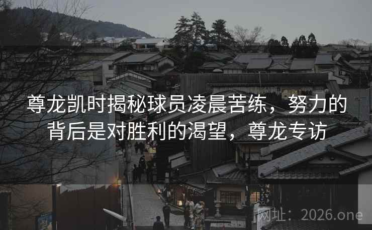 尊龙凯时揭秘球员凌晨苦练，努力的背后是对胜利的渴望，尊龙专访