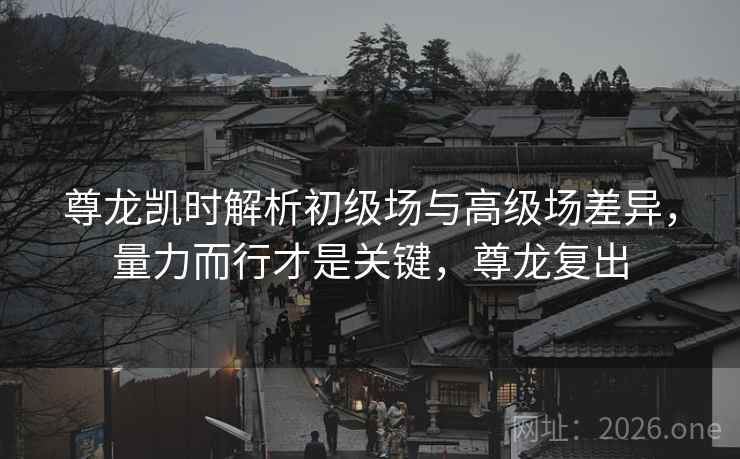 尊龙凯时解析初级场与高级场差异，量力而行才是关键，尊龙复出