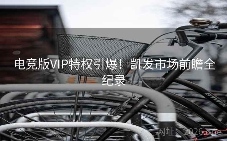 电竞版VIP特权引爆!凯发市场前瞻全纪录 电竞版VIP特权引爆!凯发市场前瞻全纪录