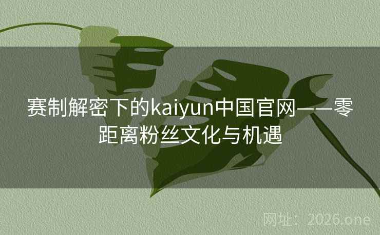 赛制解密下的kaiyun中国官网——零距离粉丝文化与机遇