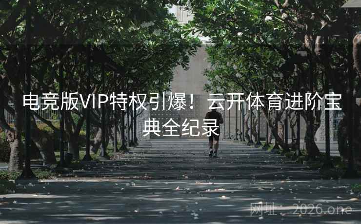 电竞版VIP特权引爆!云开体育进阶宝典全纪录 电竞版VIP特权引爆!云开体育进阶宝典全纪录