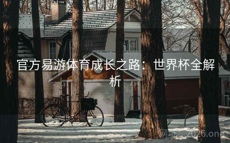 官方易游体育成长之路：世界杯全解析