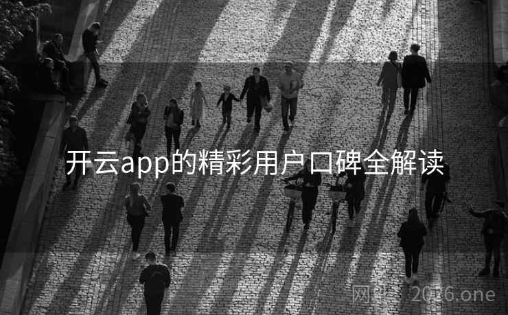 开云app的精彩用户口碑全解读