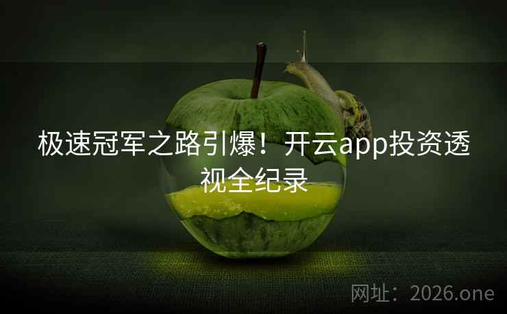 极速冠军之路引爆!开云app投资透视全纪录 极速冠军之路引爆!开云app投资透视全纪录