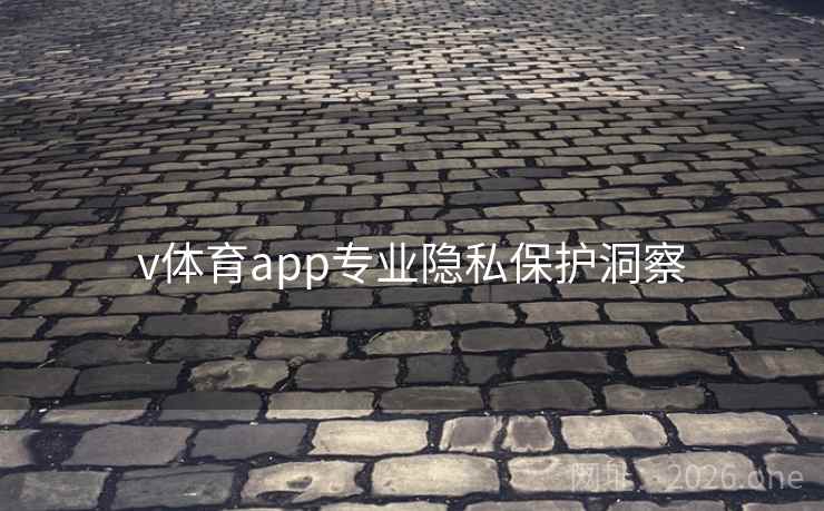 v体育app专业隐私保护洞察