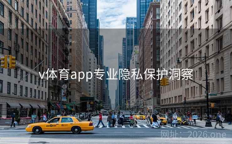 v体育app专业隐私保护洞察