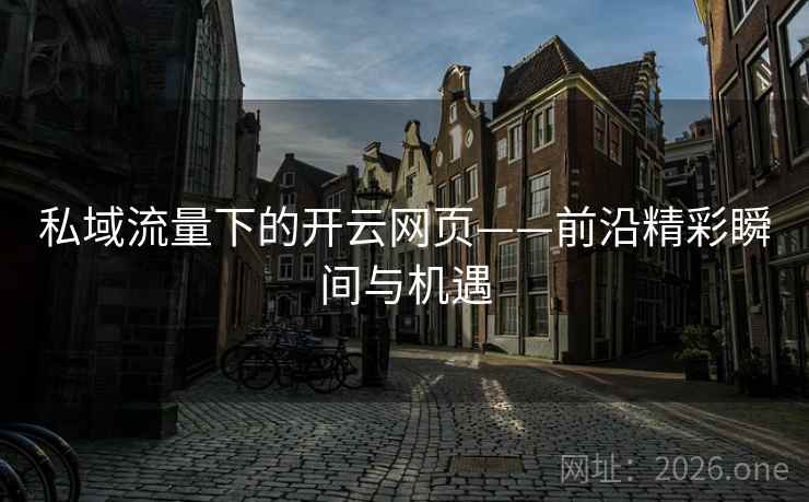 私域流量下的开云网页——前沿精彩瞬间与机遇