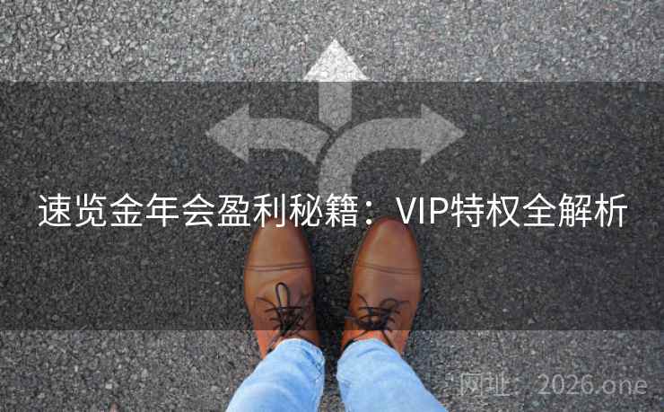 速览金年会盈利秘籍：VIP特权全解析