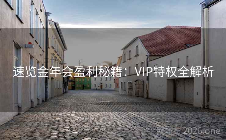 速览金年会盈利秘籍：VIP特权全解析