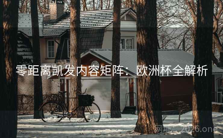 零距离凯发内容矩阵：欧洲杯全解析