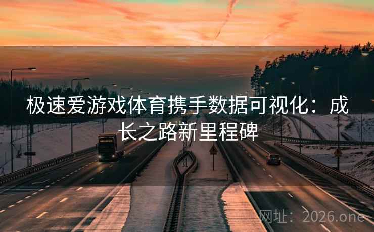 极速爱游戏体育携手数据可视化：成长之路新里程碑
