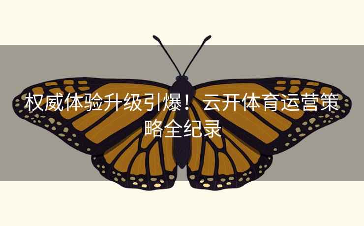 权威体验升级引爆！云开体育运营策略全纪录
