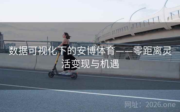 数据可视化下的安博体育——零距离灵活变现与机遇